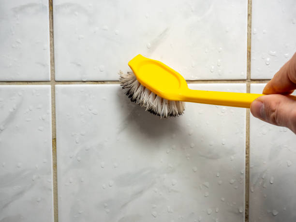 Best Affordable Mold Removal  in Dunstan, ME