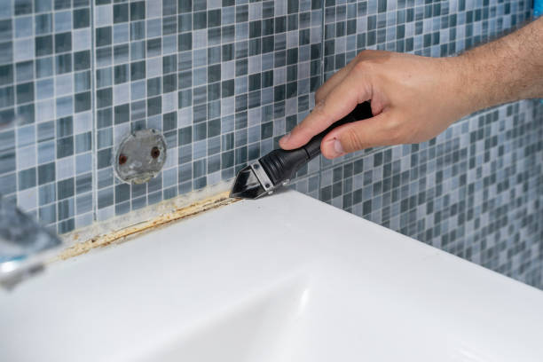 Best Mold Cleaning Services  in Dunstan, ME